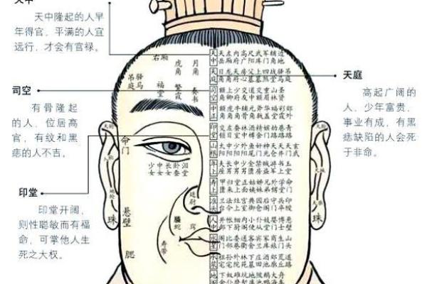 测流年:如何通过流年来洞察人生命运 测流年:如何通过流年来洞察人生命运