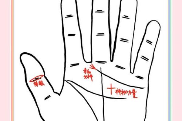 1994年属什么命?揭开你的命运密码与未来方向! 1994年属什么命?揭开你的命运密码与未来方向!