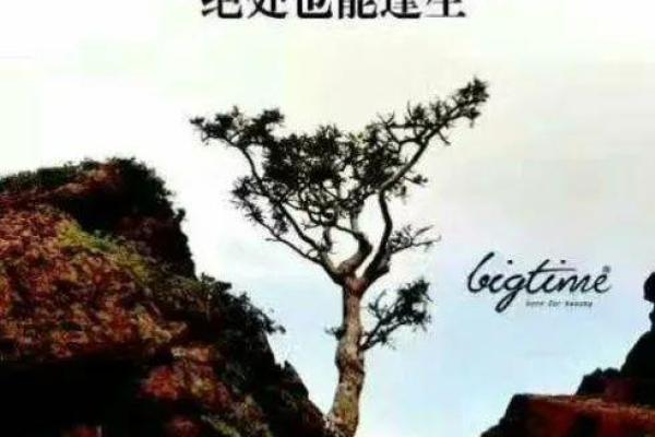 有谁能在绝境中救你:探寻生命中的关键支持者 有谁能在绝境中救你:探寻生命中的关键支持者