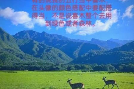 天河水命头像选择指南:如何用头像展现你的命理特点