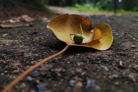 命里亲情浅薄,无法抵挡的孤独时光