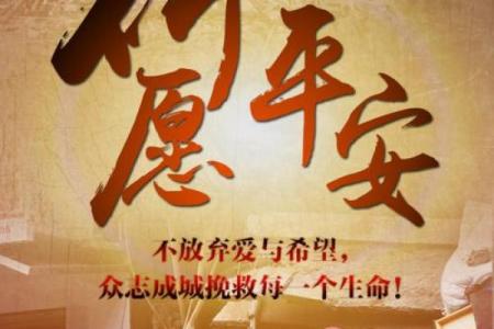 有谁能在绝境中救你：探寻生命中的关键支持者