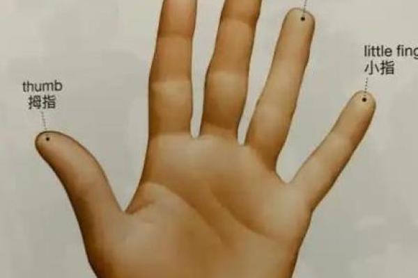 探索太阴命格书店:揭开命理的神秘面纱,找到你的命运之钥 探索太阴命格书店:揭开命理的神秘面纱,找到你的命运之钥