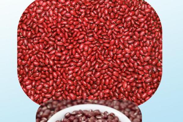 红豆的宝宝是什么命?揭秘红豆寓意与命理的奇妙关系 红豆的宝宝是什么命?揭秘红豆寓意与命理的奇妙关系