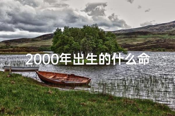 探索1988年阴历出生者的命运与个性特征之旅 探索1988年阴历出生者的命运与个性特征之旅