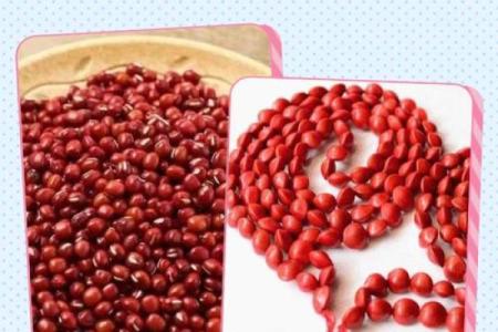 红豆的宝宝是什么命?揭秘红豆寓意与命理的奇妙关系
