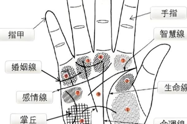 手粗糙手纹多,命运暗藏的玄机与启示 手粗糙手纹多,命运暗藏的玄机与启示