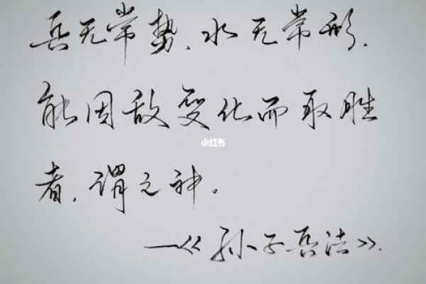 命里官司与涝灾:生活中的无常与对策探讨 命里官司与涝灾:生活中的无常与对策探讨