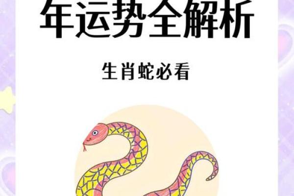 揭秘2011年属蛇的命运与运势解析 揭秘2011年属蛇的命运与运势解析