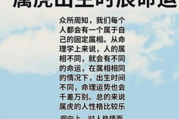 1962年虎年出生的人命运分析与性格特征