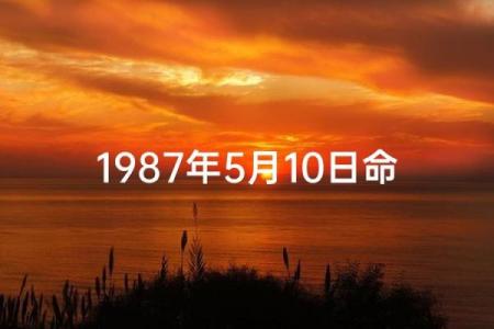 揭秘妾室命格:是怎样的命运决定了她们一生的角色?