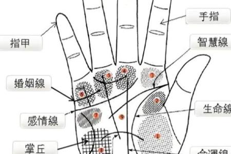 手粗糙手纹多，命运暗藏的玄机与启示