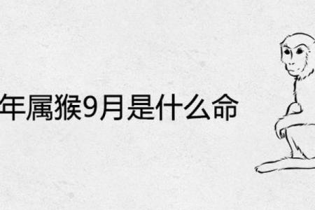丙子生人命格分析:探秘火鼠之人生之奥秘