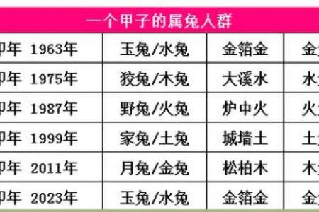 解密金箔金兔命:如何借助兔年运势提升你的人生幸福感