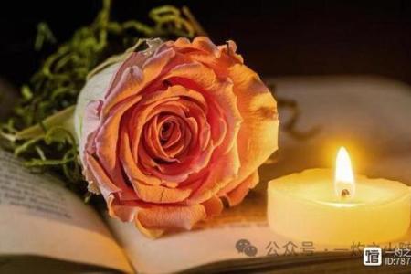 命若琴弦，雾中追梦：在迷雾中寻找生活的答案