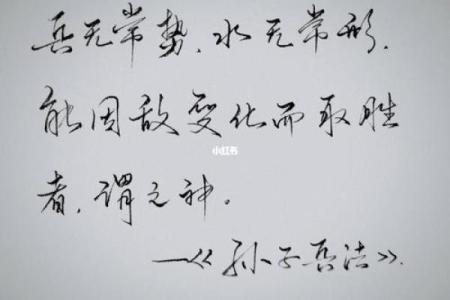 命里官司与涝灾:生活中的无常与对策探讨