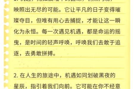 1987年的孩子：命运与机遇交织的精彩人生