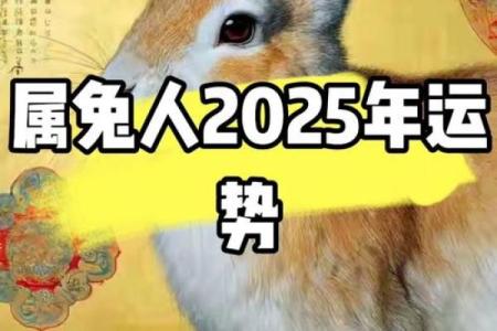2023年7月兔子命运分析：揭示命里缺失与运势提升之道