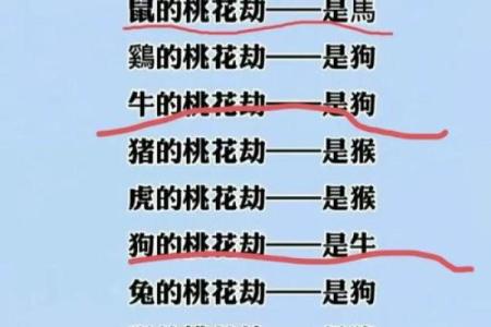 命犯桃花，桃花运背后的秘密与解析