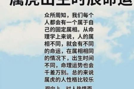 1962年虎年出生的人命运分析与性格特征