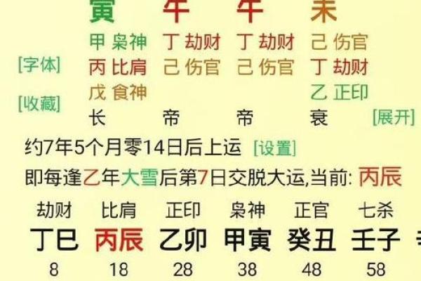 八字命理揭秘：前命与后命的深远影响
