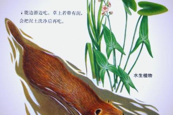 养什么动物都是什么命格，解密动物与人类命运的奇妙联系