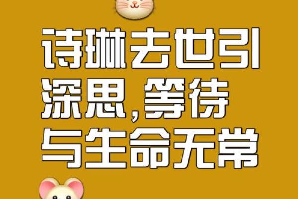 等待人生的智慧——从“等待”看每个人的命运