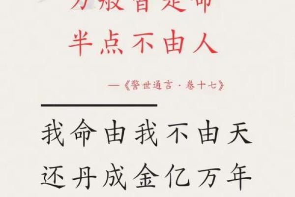 梁上土命：命理智慧照亮人生之路，探寻土命的秘密与魅力