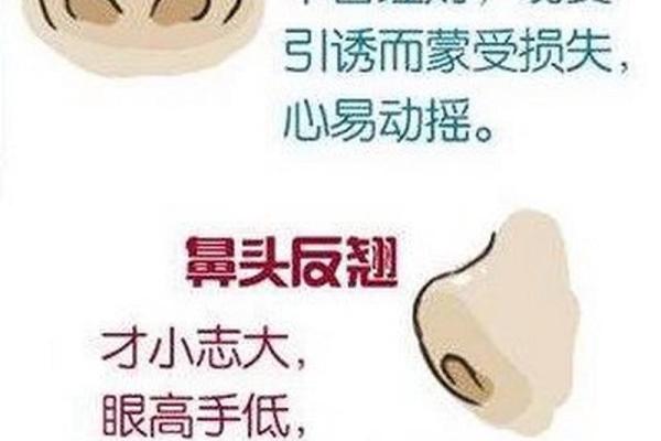 女生鼻子塌是什么命？深度解析与命理启示