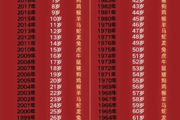 1994年出生属狗，命运与性格剖析