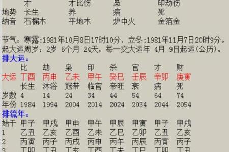 乙酉年出生的男人：命格解析与人生观探讨