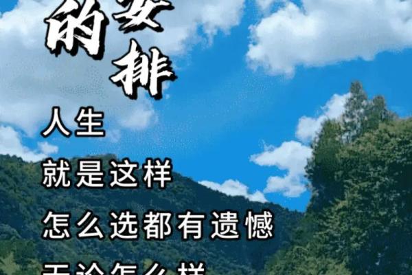 91年正月十三：命运的交汇与人生的探索