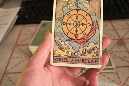 驾驭命运之轮：选择适合你的卡组挑战命死者！