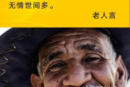 91年正月十三：命运的交汇与人生的探索