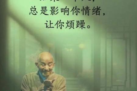 如何用心去生活：没什么命操什么心的智慧启示