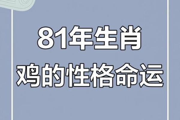 2017年属鸡人：深度解析其命理特点与人生运势
