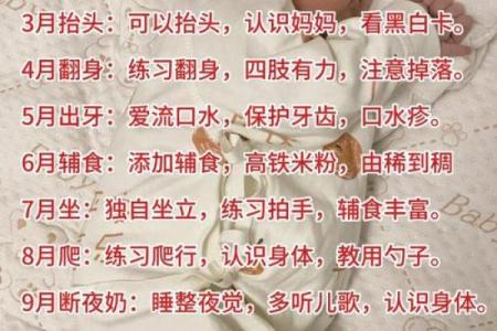 早产宝宝的人生旅程：他们将如何书写自己的命运？