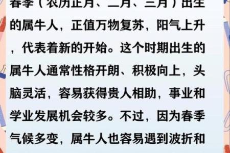 属牛男的命运解析：如何发挥潜能，实现人生价值