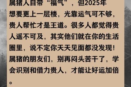 1999年猪的命运与人生启示：如何把握机遇与挑战