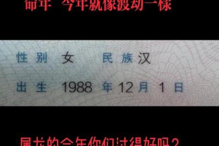1988年属什么命？细解属龙之年的命运与性格特点