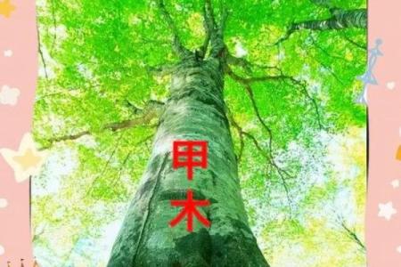 探寻1984年土命的奥秘与人生启示