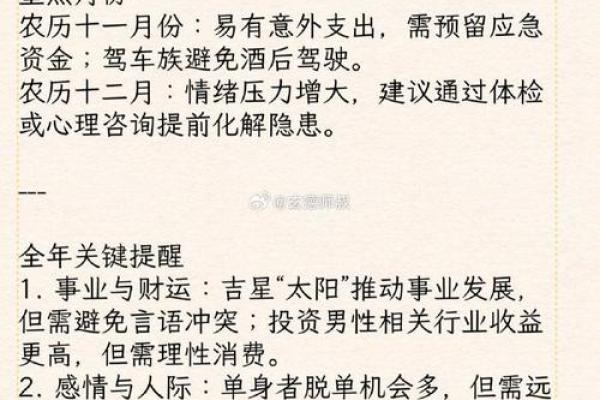 63岁属马的命运分析:智慧与挑战并存的人生旅程 63岁属马的命运分析:智慧与挑战并存的人生旅程