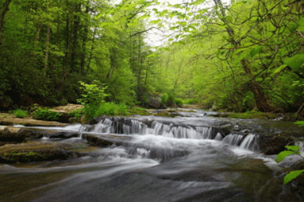 大溪水命与石头的神奇联系:如何选择适合的石料提升运势 大溪水命与石头的神奇联系:如何选择适合的石料提升运势