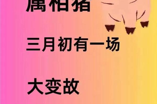 属猪的未时命运分析:八字解读与人生启示 属猪的未时命运分析:八字解读与人生启示