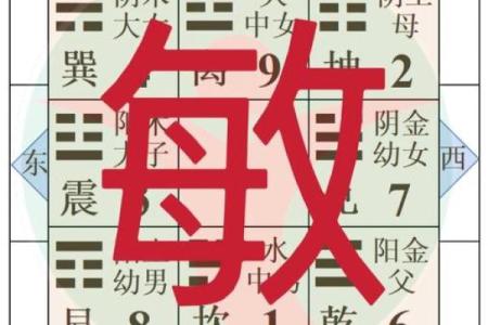 探寻1988年出生者的命运密码：每月的特质与影响