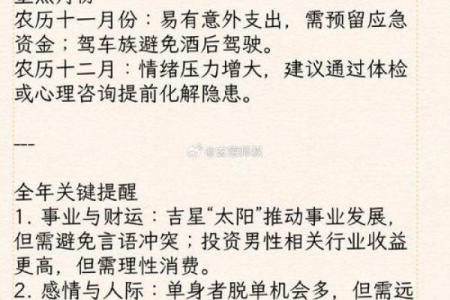 63岁属马的命运分析：智慧与挑战并存的人生旅程