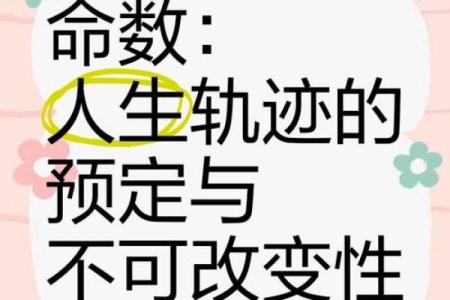 命运的轨迹：如何掌控自己的未来与人生选择