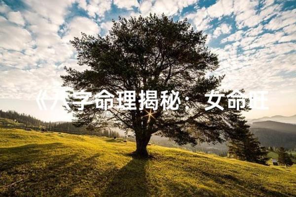 29日出生的人：探秘命理中的秘密与特质