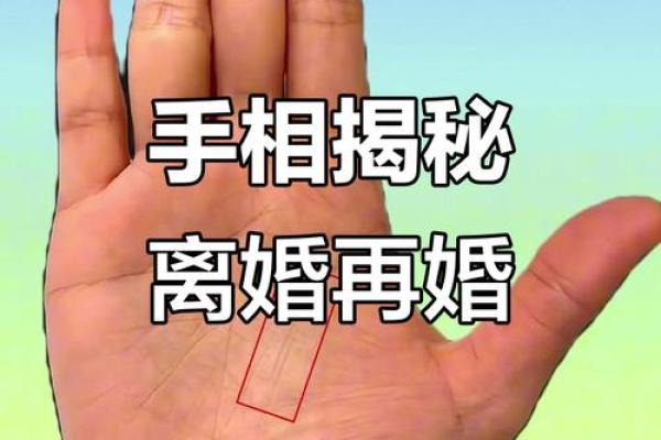 从手相看命格:揭示人生的秘密与幸福之路 从手相看命格:揭示人生的秘密与幸福之路
