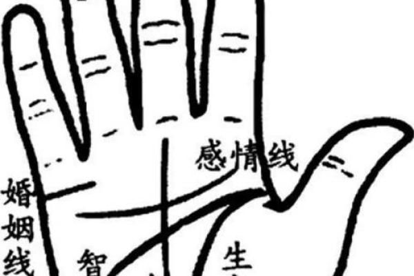 从手相看命格:揭示人生的秘密与幸福之路 从手相看命格:揭示人生的秘密与幸福之路